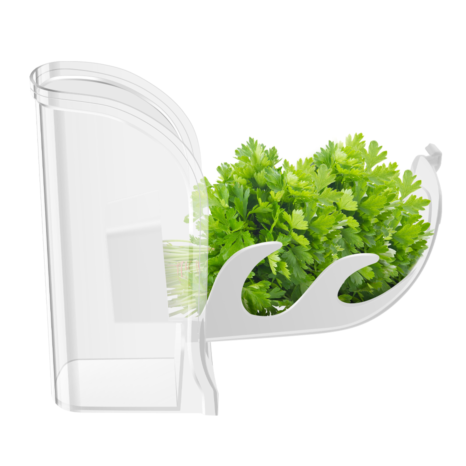 Ot Sebzelik Tasarruf Kabı Buzd - Kitchen Gadgets Modern incelemesi ve fiyatı